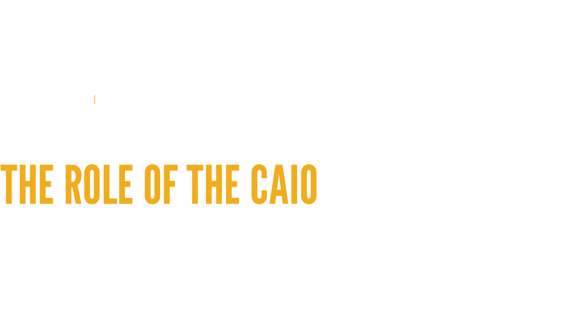 AI in the C-Suite: The Role of the CAIO