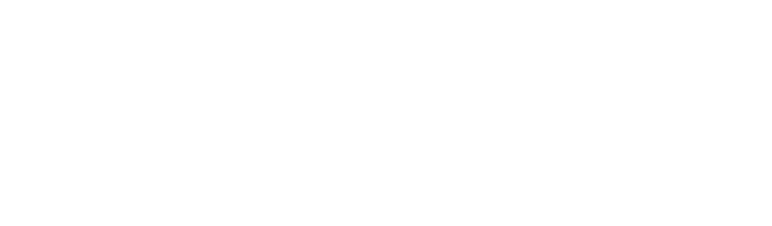 NYC Power 100