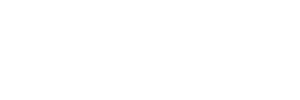 Public Sector Network