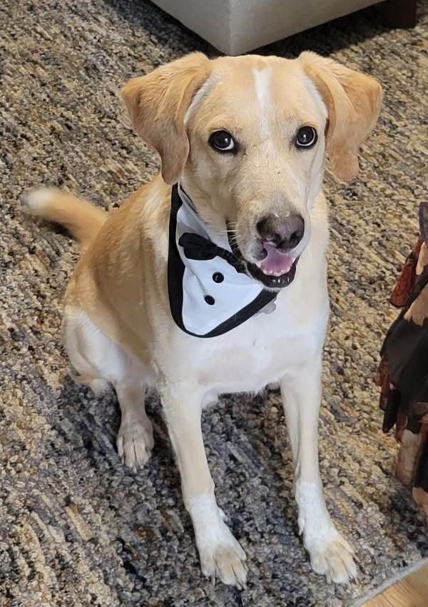 Tuxedo Corrigan