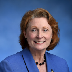 Jo Anne Simon