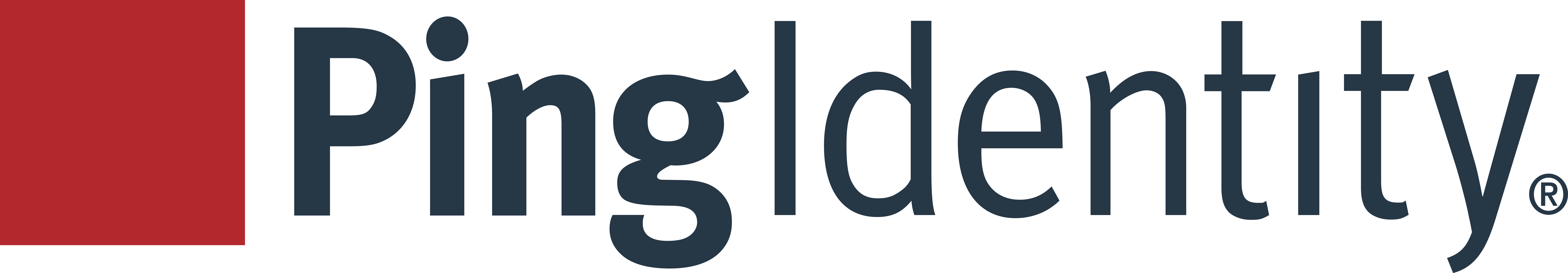 Ping Identity