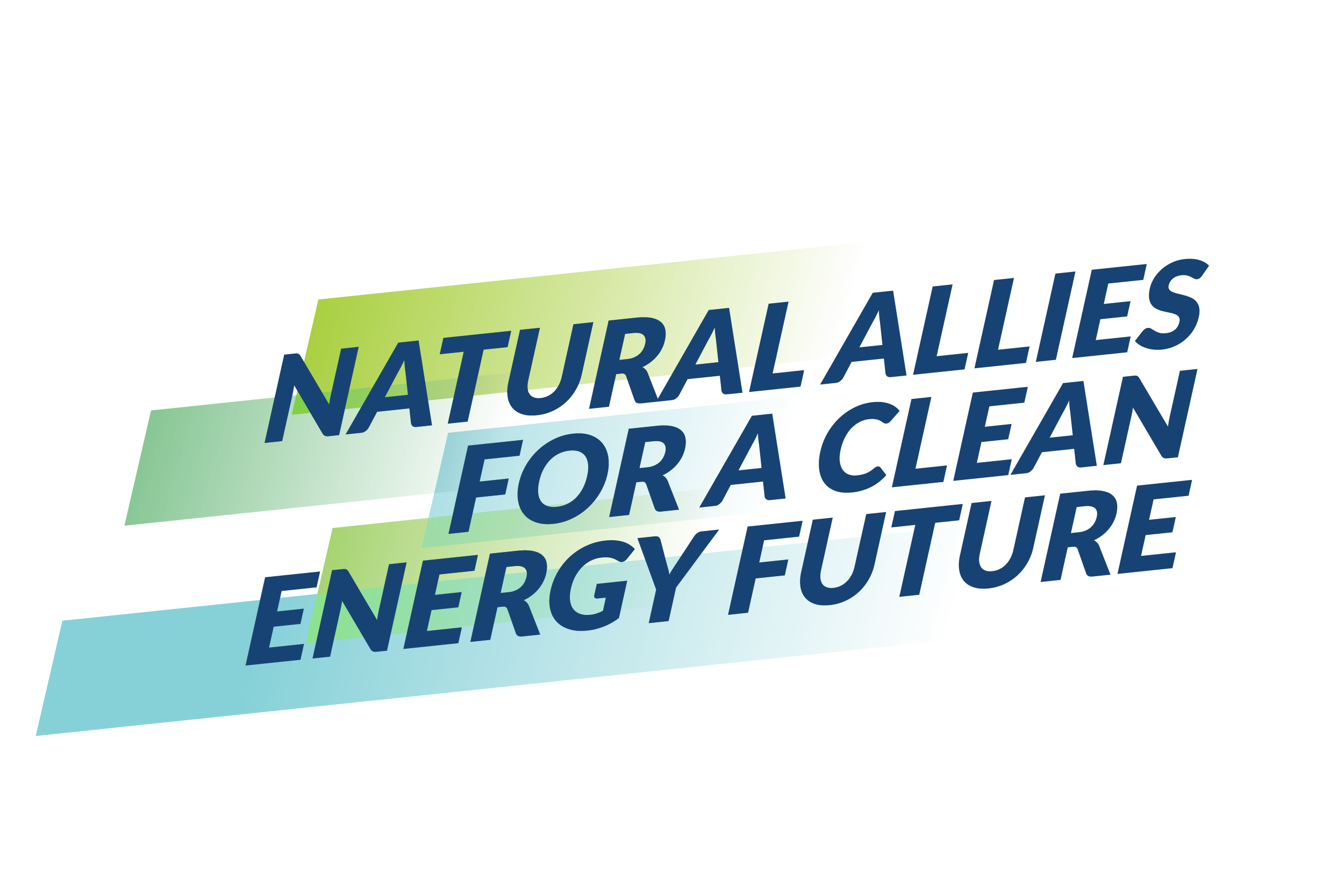 Allies for Natural Energy