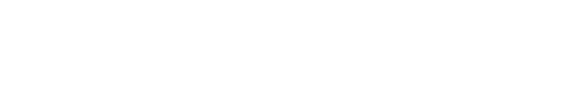 Netapp / TD Synnex Logo