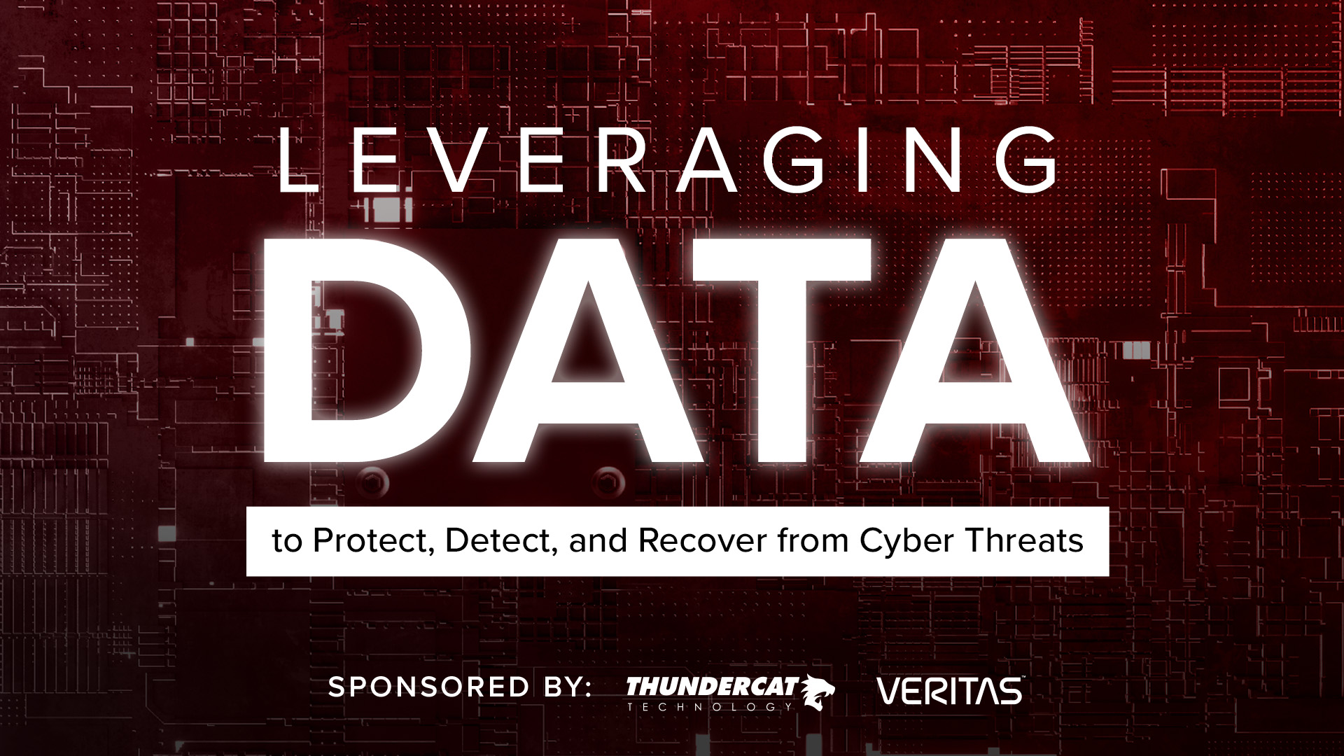 Leveraging Data to Protect, Detect, and Recover from Cyber Threats Thumbnail