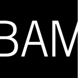 BAM (Brooklyn Academy of Music)