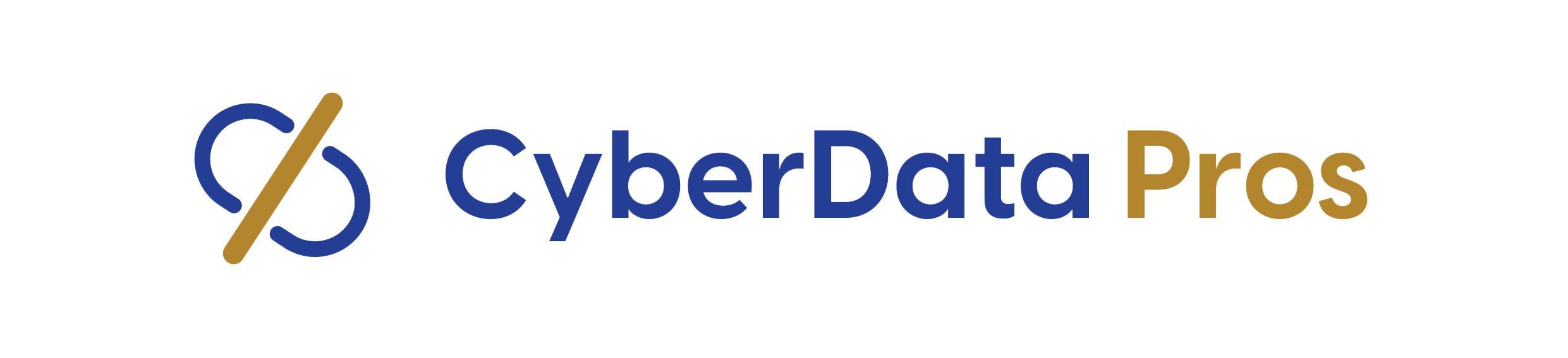 CyberDataPros