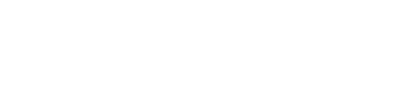 CACI International