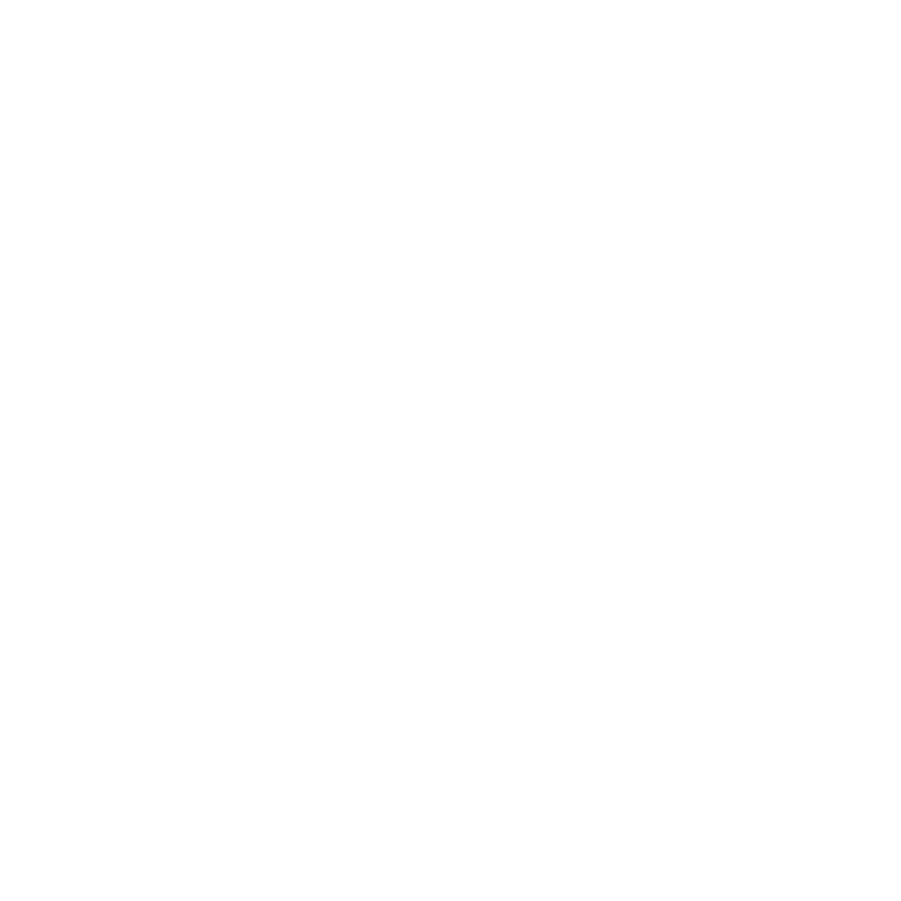 Booz Allen