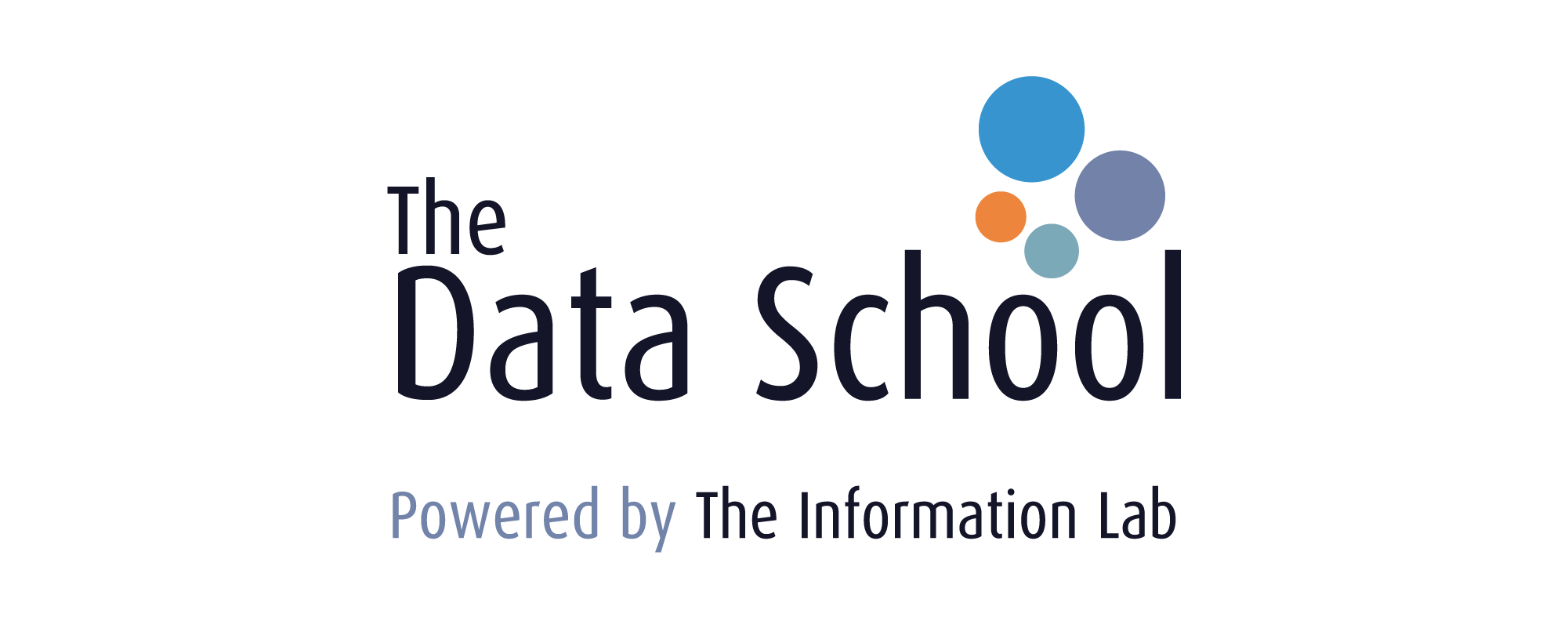The Data School